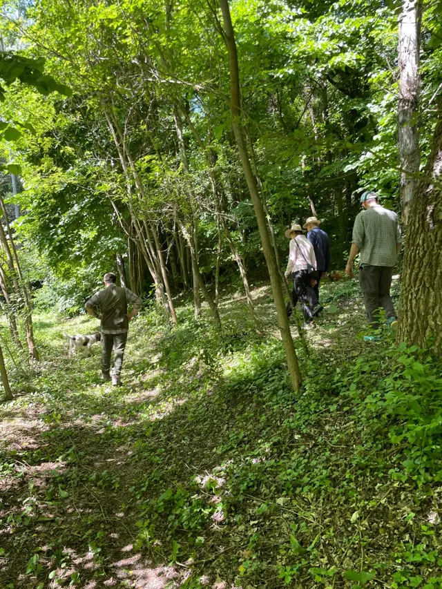 Two people walk among the trees along a green path