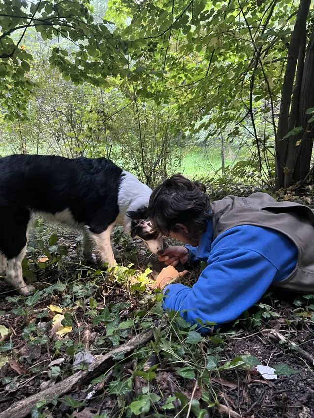 Ein Sucher und sein Hund bei der Suche im Laub