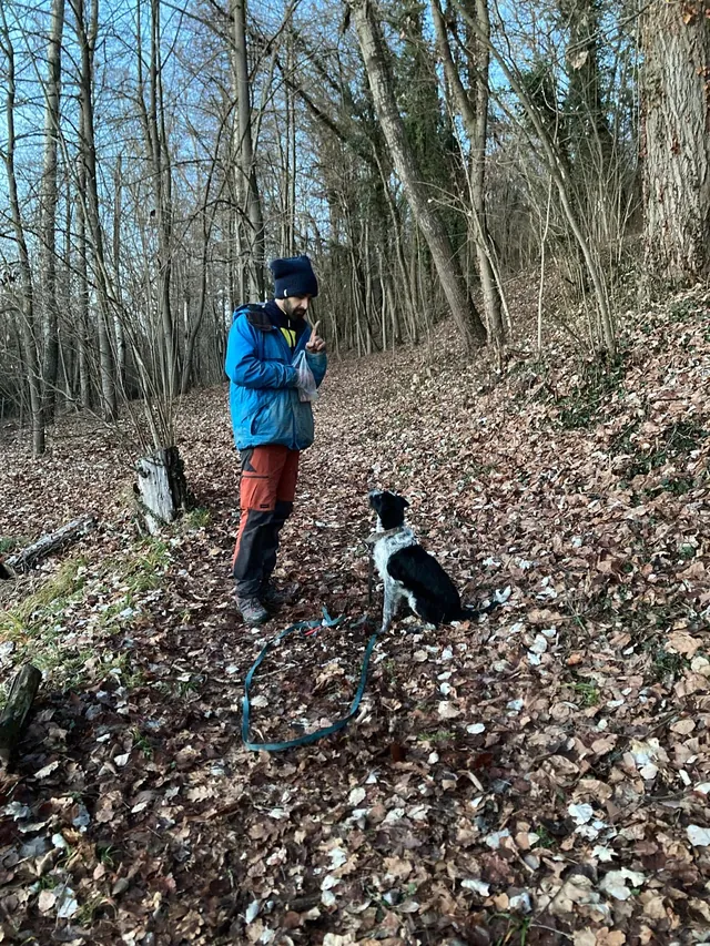 A hunter in a blue jacket with his dog among the woodland trees