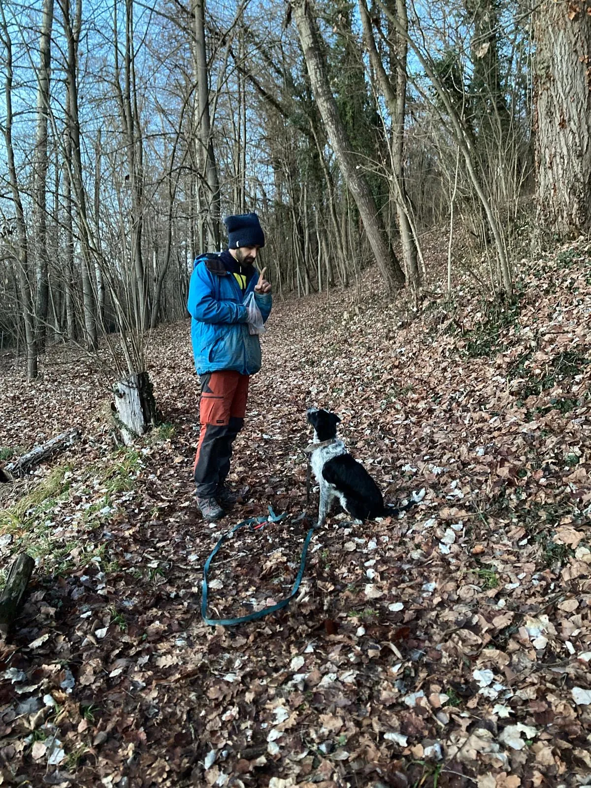 Ein Sucher in blauer Jacke mit seinem Hund zwischen den Waldbäumen