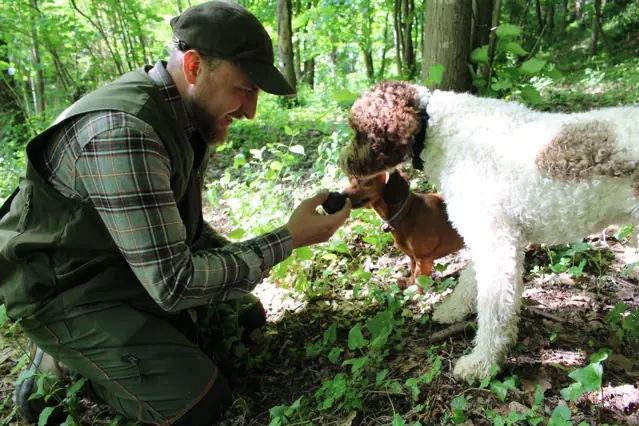 A truffle hunter strokes his dog after the hunt