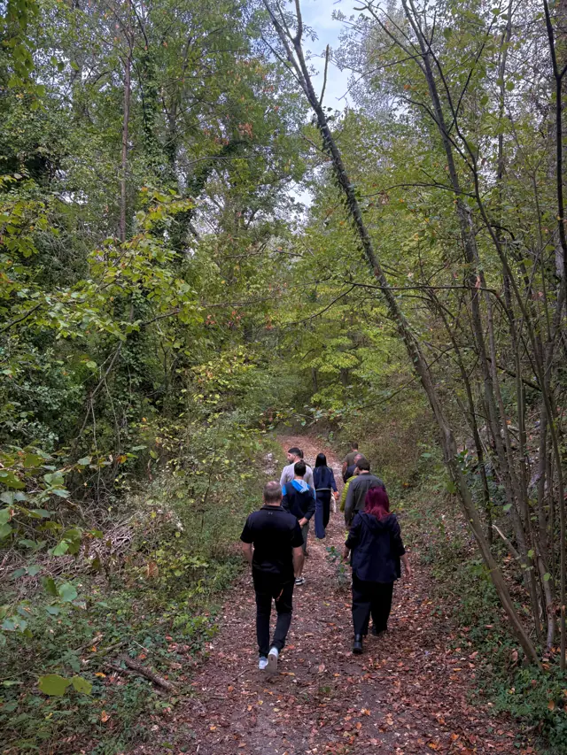 Eine Gruppe von Gästen auf einem Waldweg